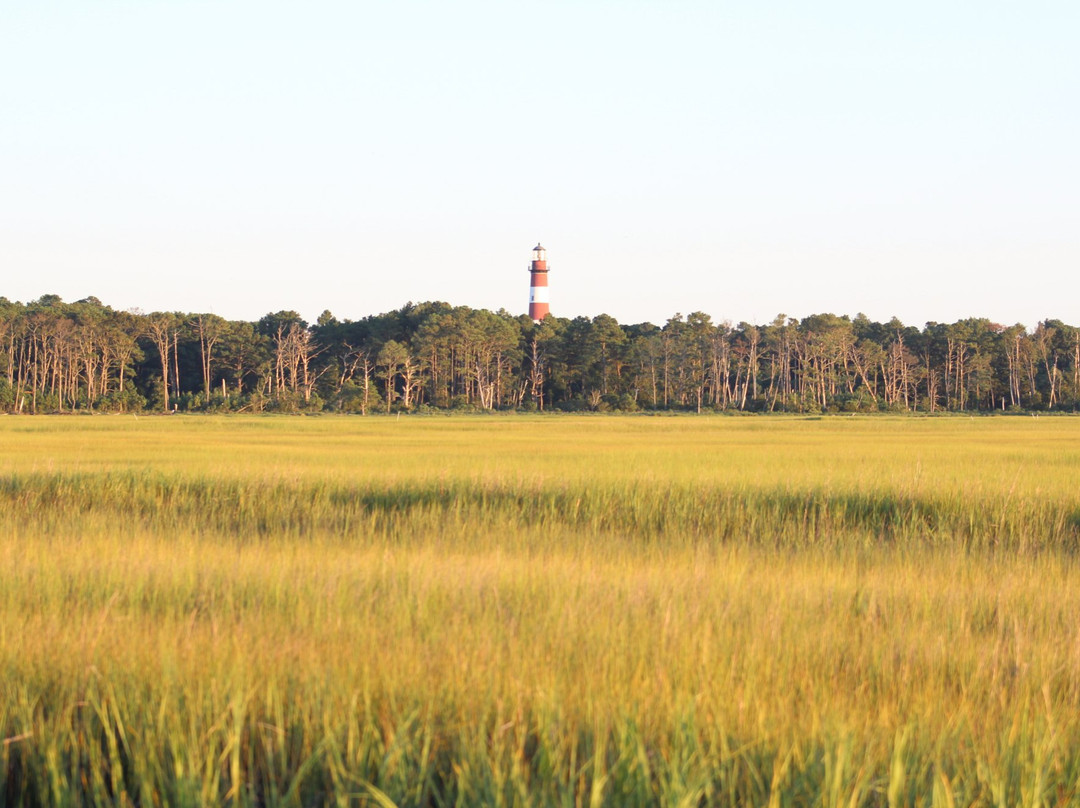 Assateague Lighthouse-Assateague Island必去景点