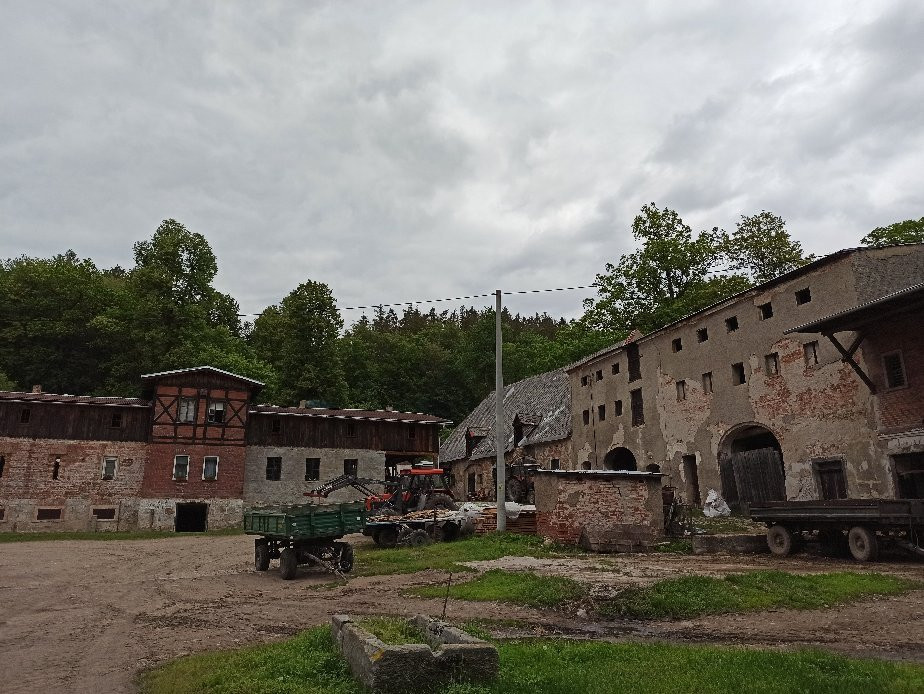 Agroturystyka Palac Dabrowica主图