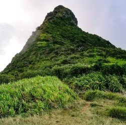 Easycab_mauritius