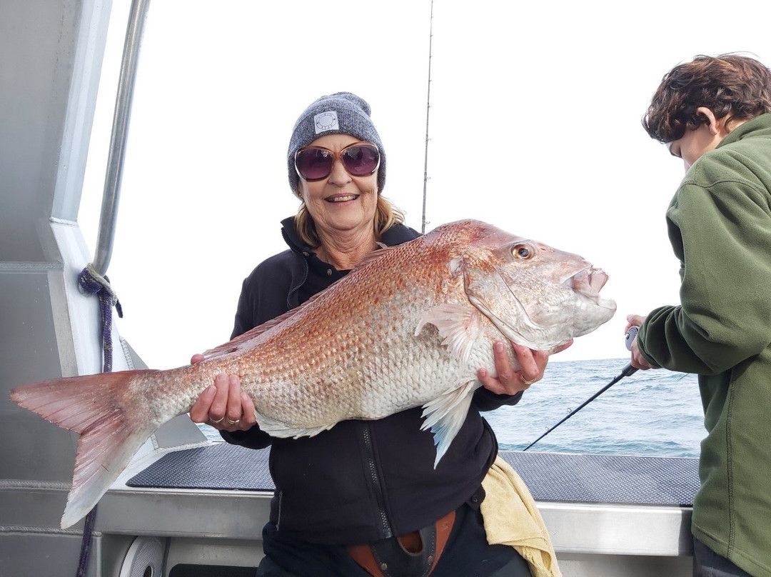 Northside Adventures-奥克兰中心地区必去景点