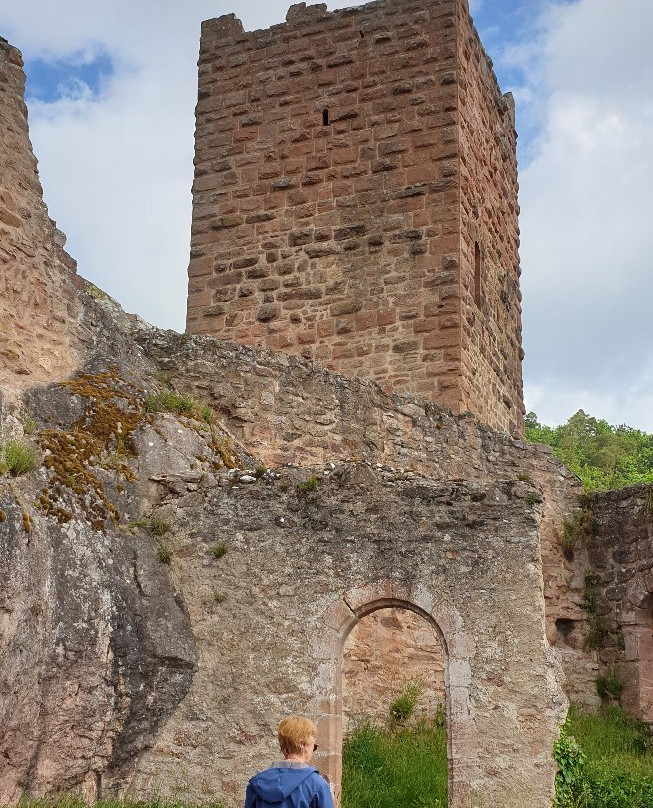 Château de Saint-Ulrich景点图片