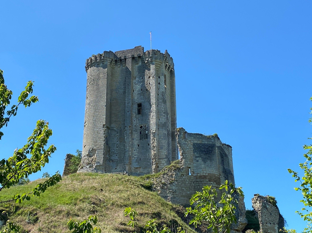 Chateau de Lavardin景点图片