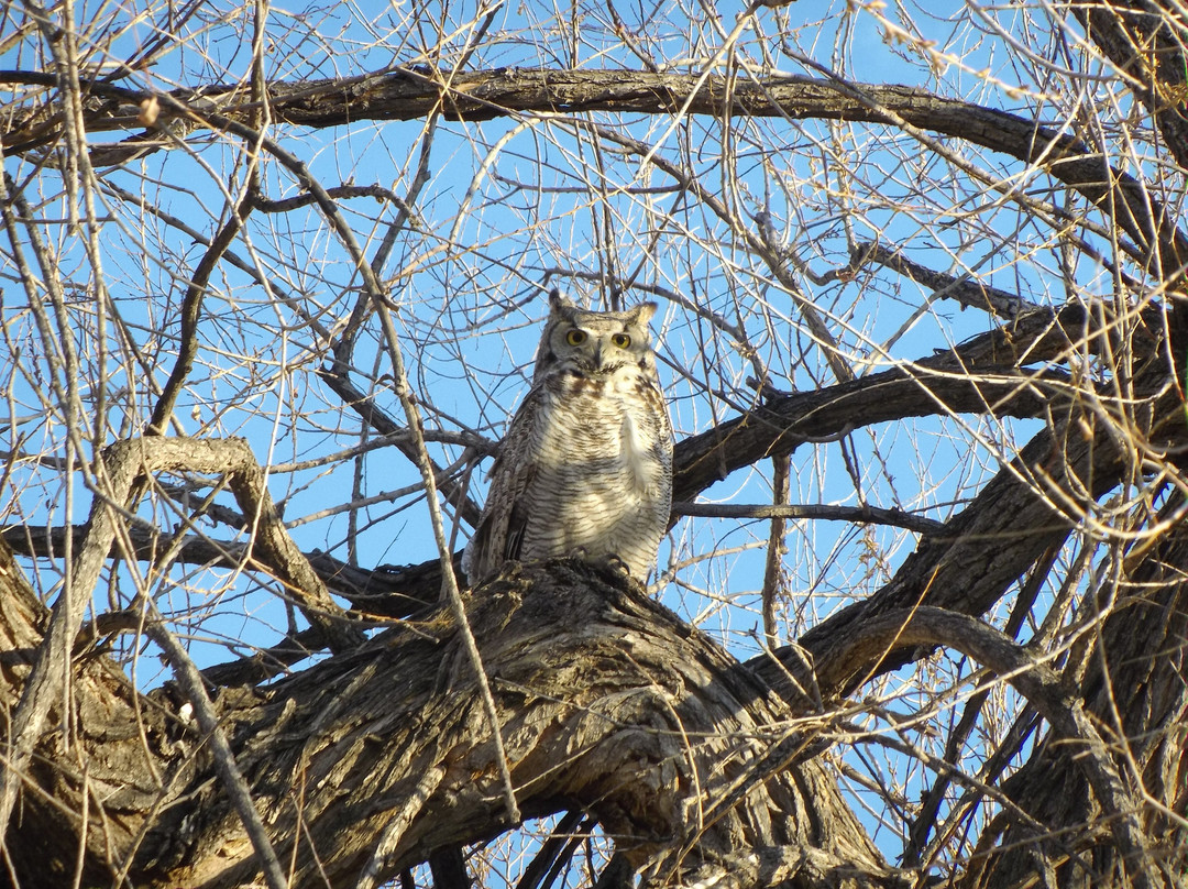 Horseshoe Park-奥罗拉必去景点