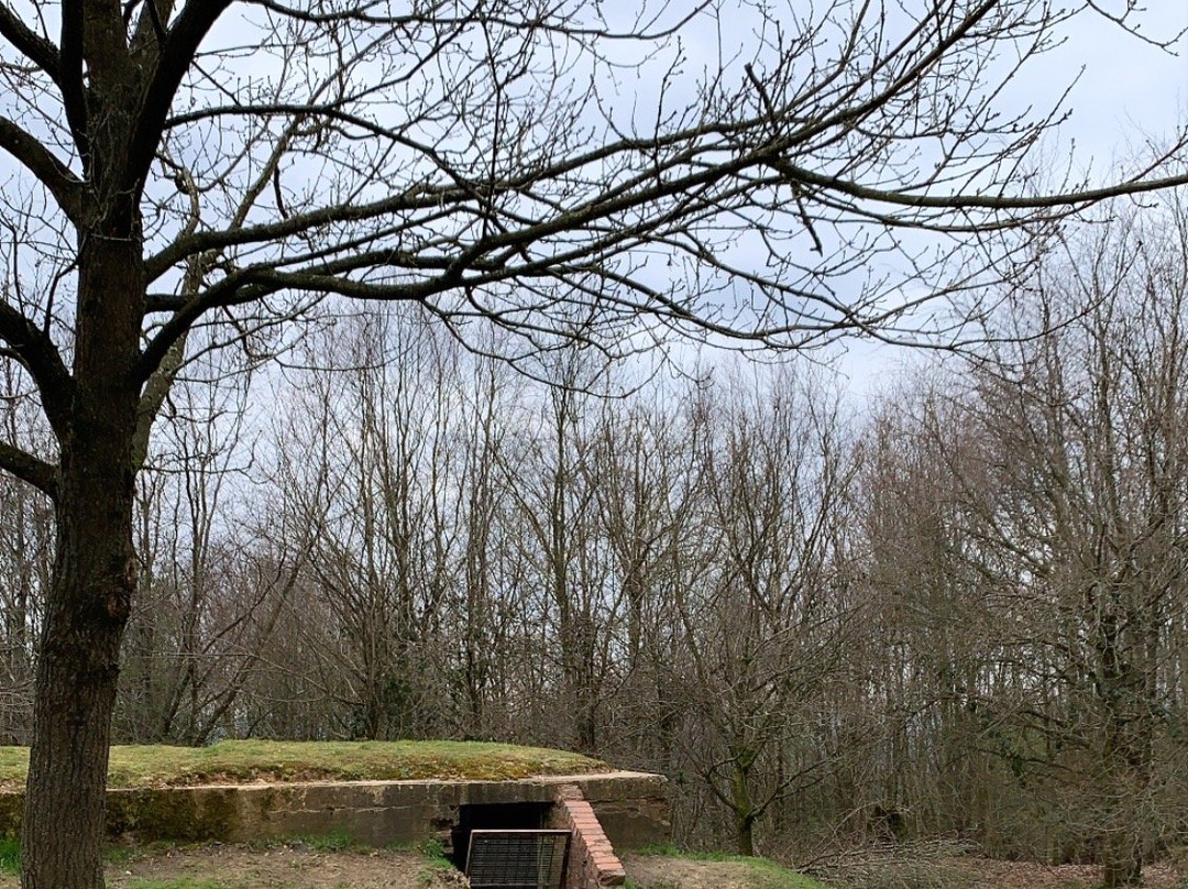 Reigate Hill景点图片