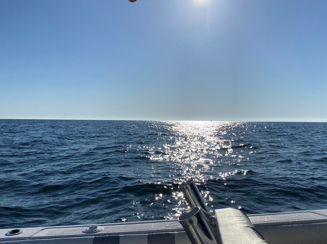 Whiptail Adventures-波特兰必去景点