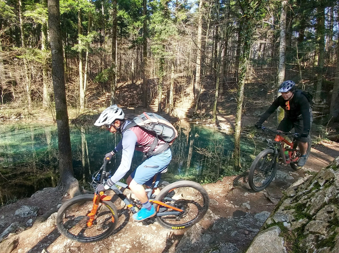 RO Mountainbike景点图片