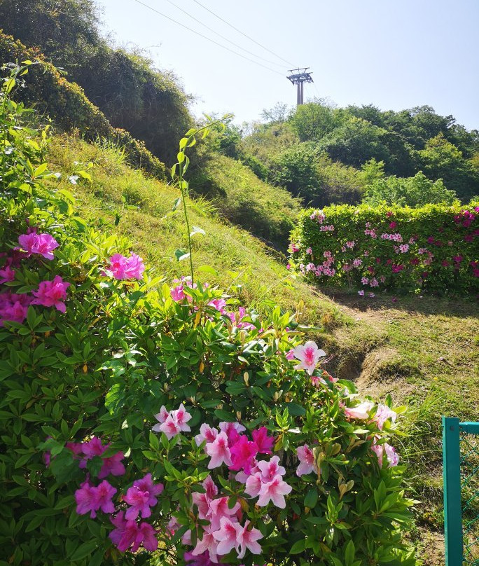 The road to the Giants-稻城市必去景点