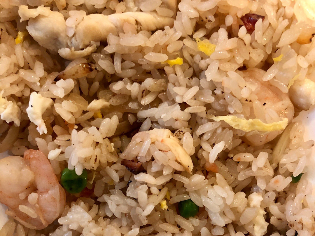 Shogun Hibachi Asian Cusine