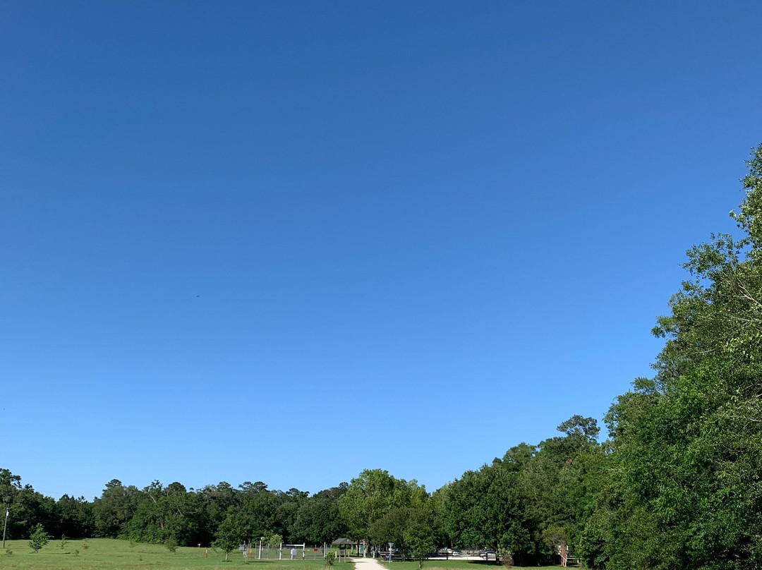 Miccosukee Canopy Road Greenway-塔拉哈西必去景点