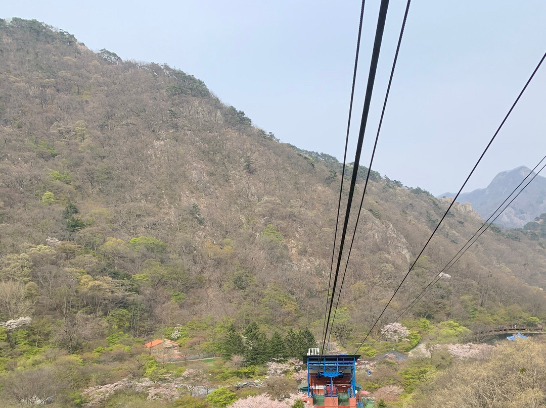 Naejangsan Mountain Cable Car-井邑市必去景点