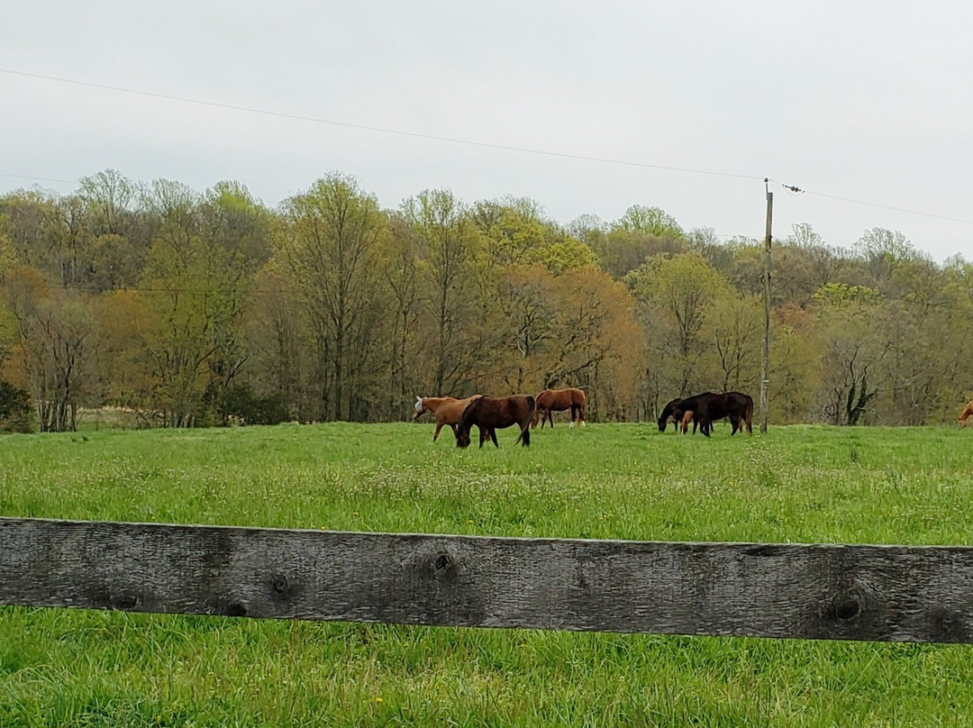 Olney Farm-Joppa必去景点