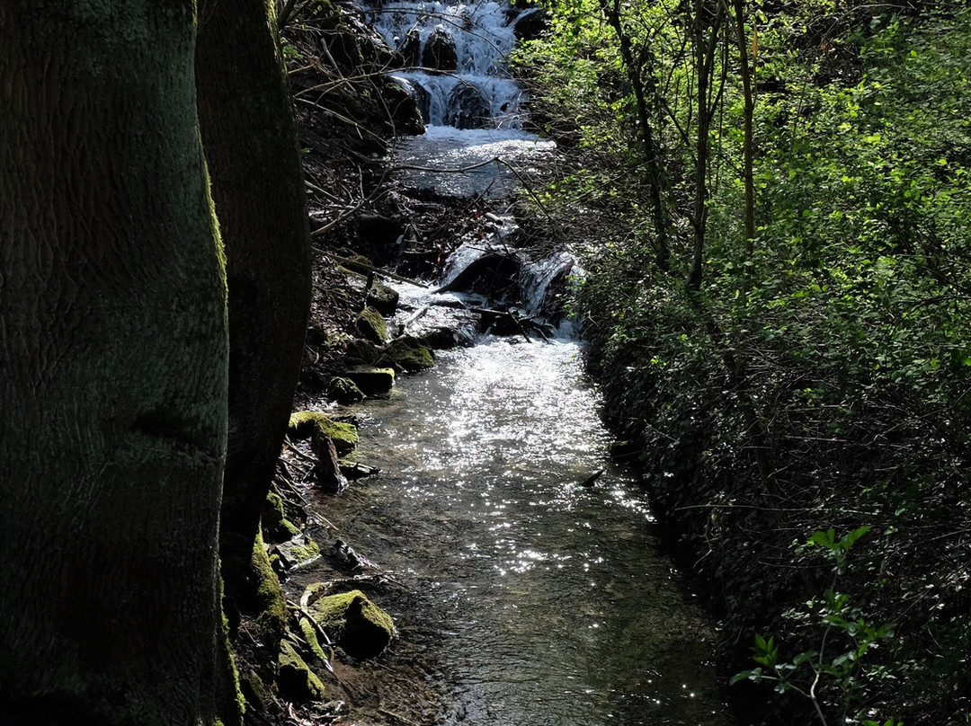 Lutterquellen