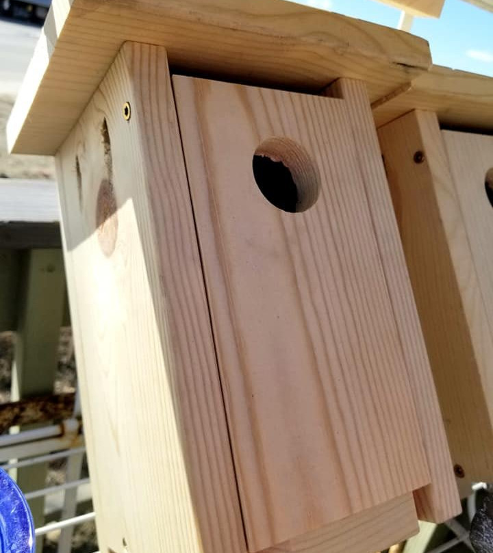 High Country Autumn's Nest-Fraser必去景点