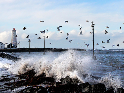 Purenordic Travel-雷克雅未克必去景点