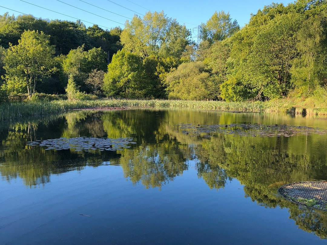 Prestwich Forest Park-曼彻斯特必去景点