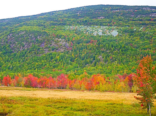 Acadia National Park Island Explorer Bus-巴港必去景点
