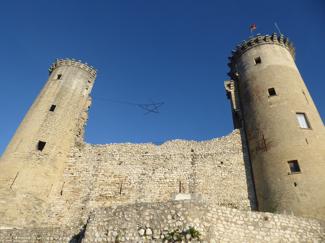Chateau Feodal de Chateaurenard景点图片
