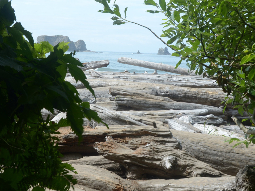 Second Beach Trail景点图片