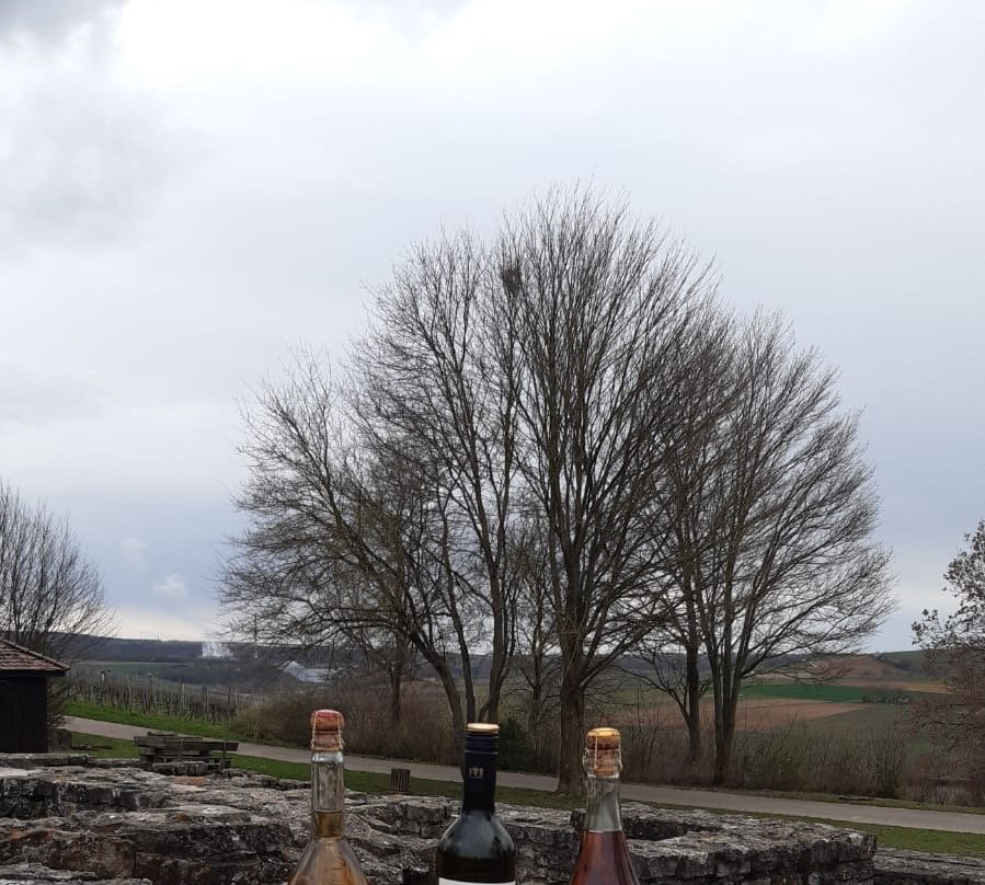 Katzenbeisser Carrus-Lauffen am Neckar必去景点