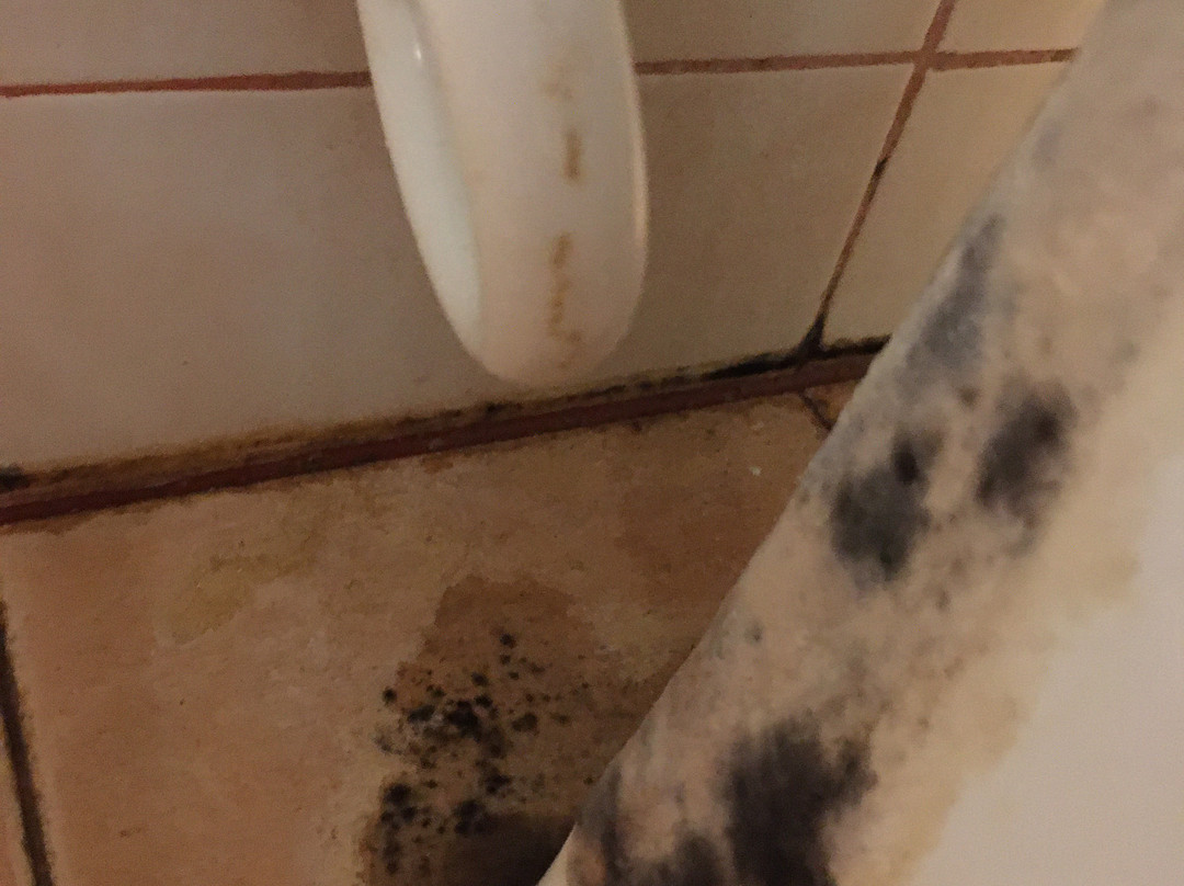 甲米兰塔岛棕榈海滩度假村主图