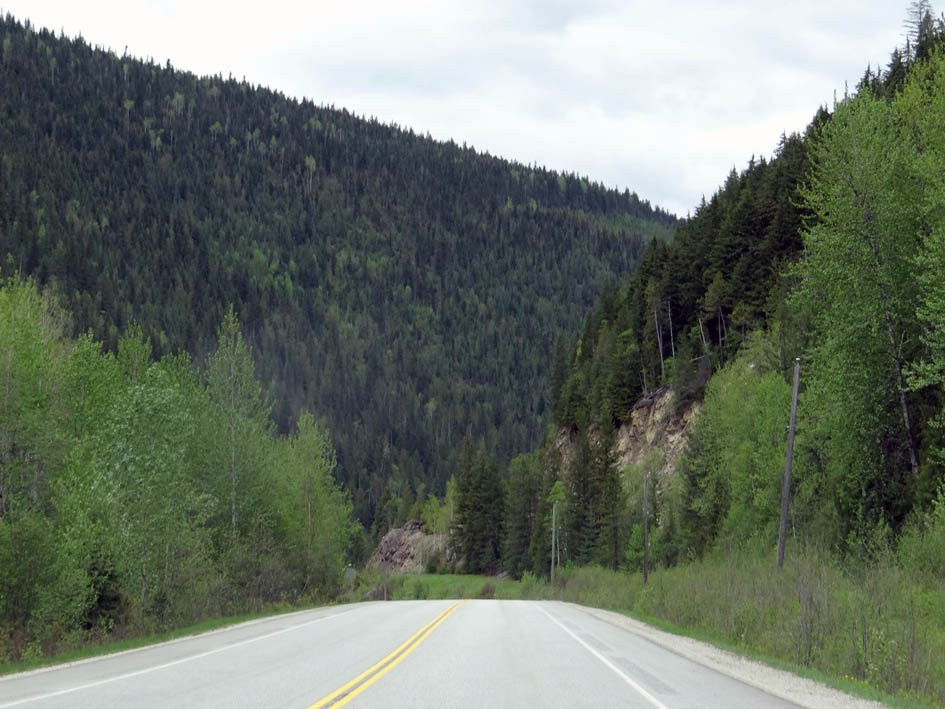 Blue River Black Spruce Provincial Park景点图片