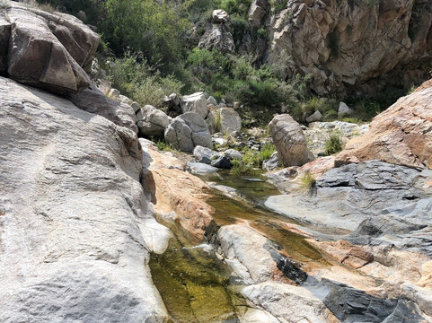 White Tank Mountain Regional Park-Waddell必去景点