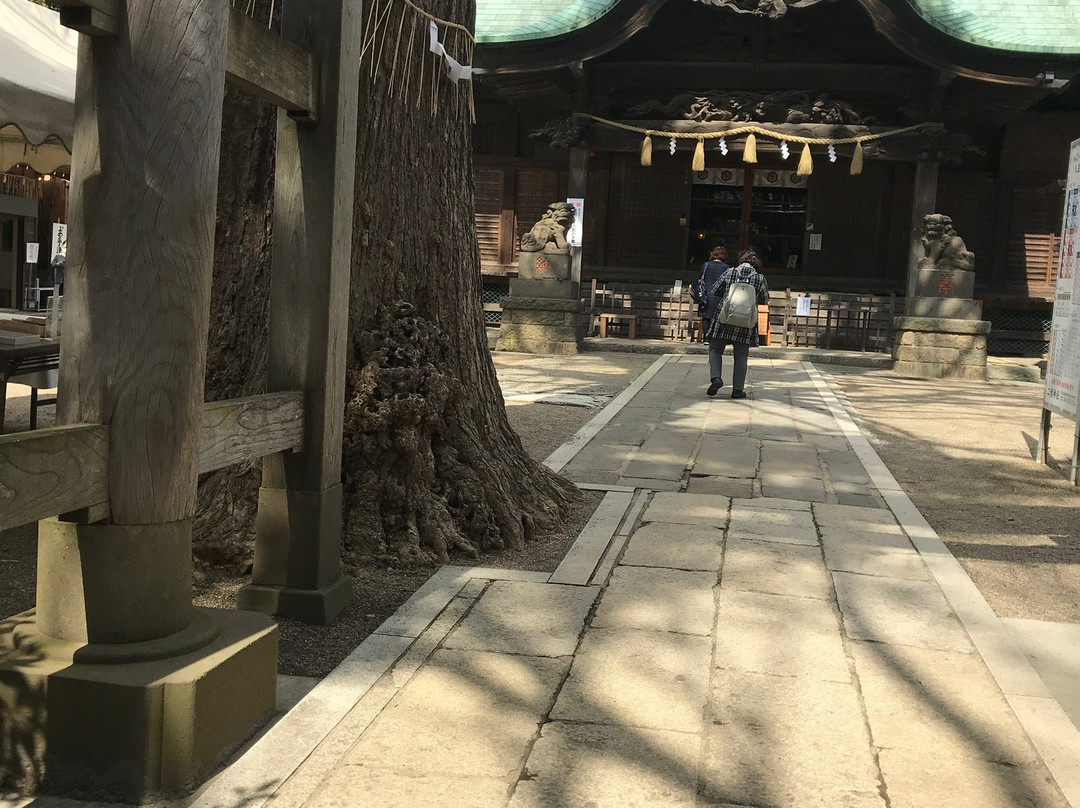 Ninomiya Jinja Shrine-船桥市必去景点