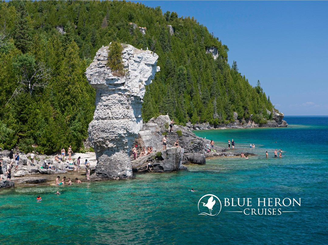Blue Heron Cruises景点图片