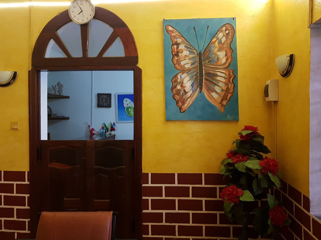 Hotel Le Papillon主图