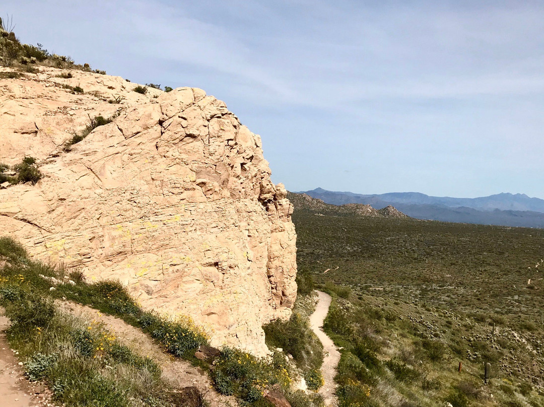 Brown's Ranch Trailhead-斯科茨代尔必去景点