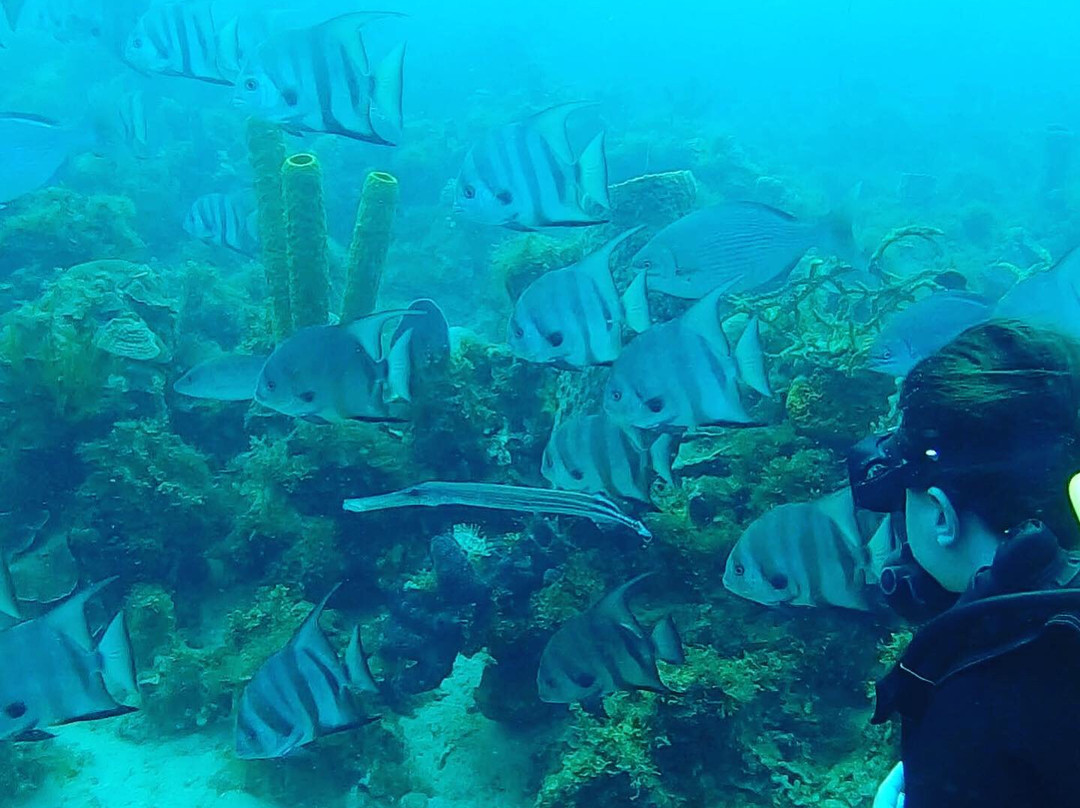 Kawan Plongee-圣吕斯必去景点