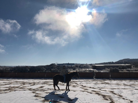 Galisteo Creek Stables Trail Riding-Cerrillos必去景点