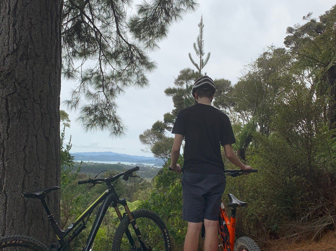 Paihia Mountain Bikes-Waitangi必去景点
