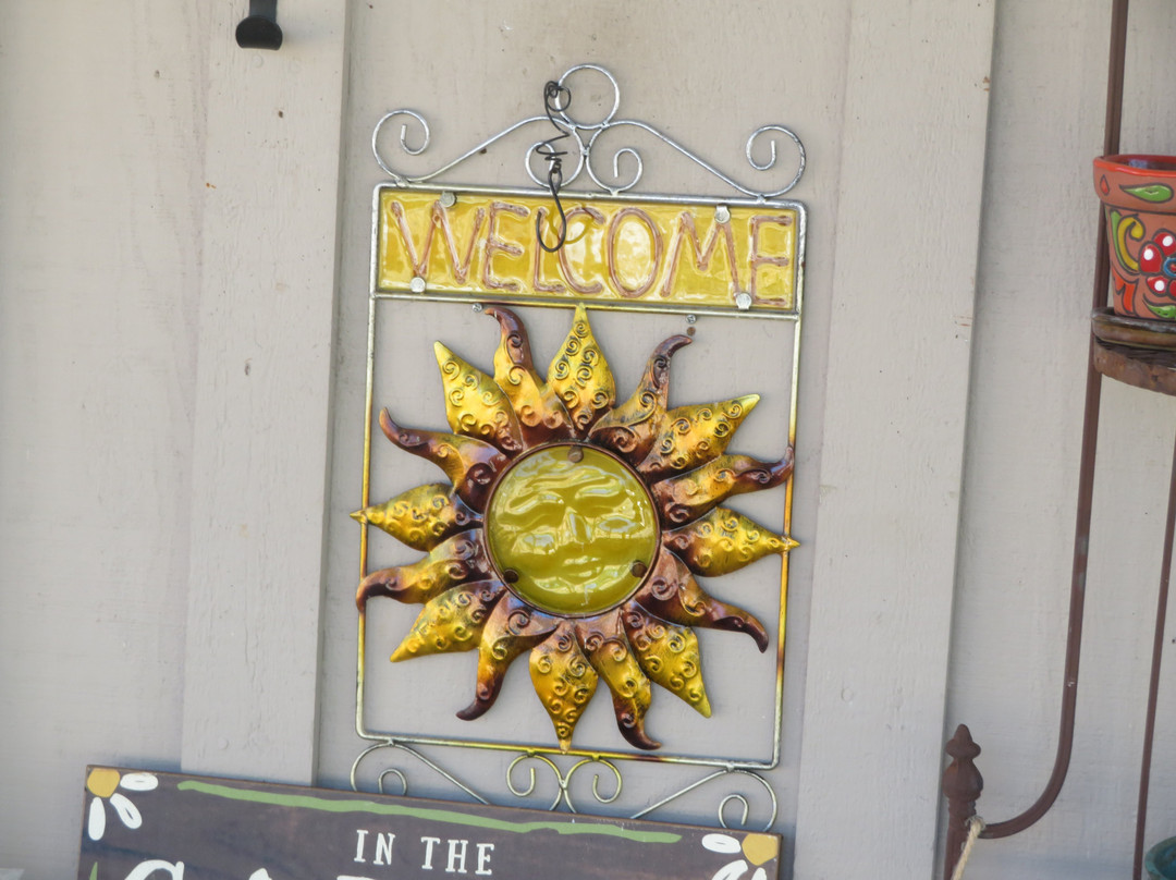 UCSC Arboretum-圣克鲁斯必去景点