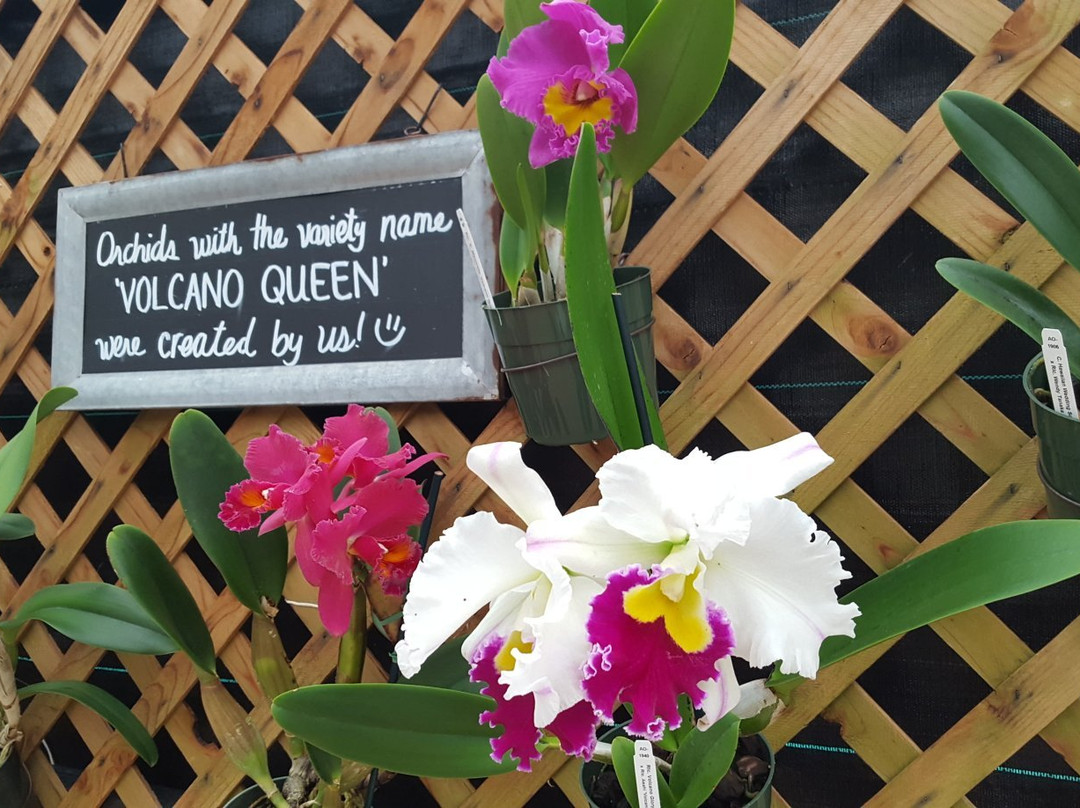 阿卡祖卡兰花园-火山必去景点