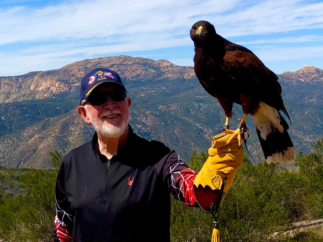 Sky Falconry-Alpine必去景点
