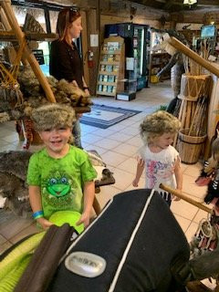 Billie Swamp Safari-克莱维斯顿必去景点