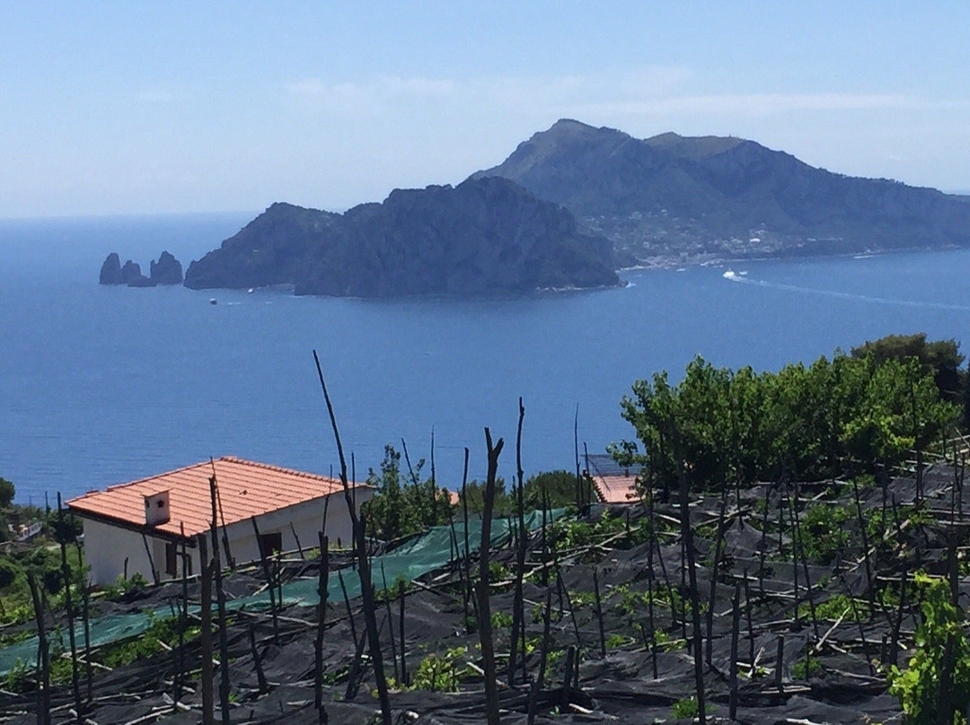 Sweet Private Tours-波西塔诺必去景点