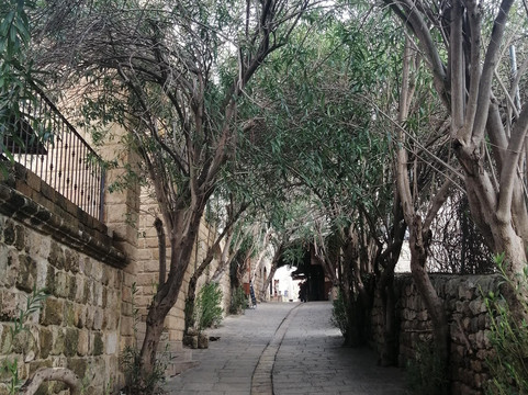 Lebanon Group Tours-贝鲁特必去景点