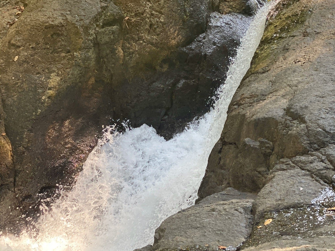 La Palapa Eco Lodge Resort主图