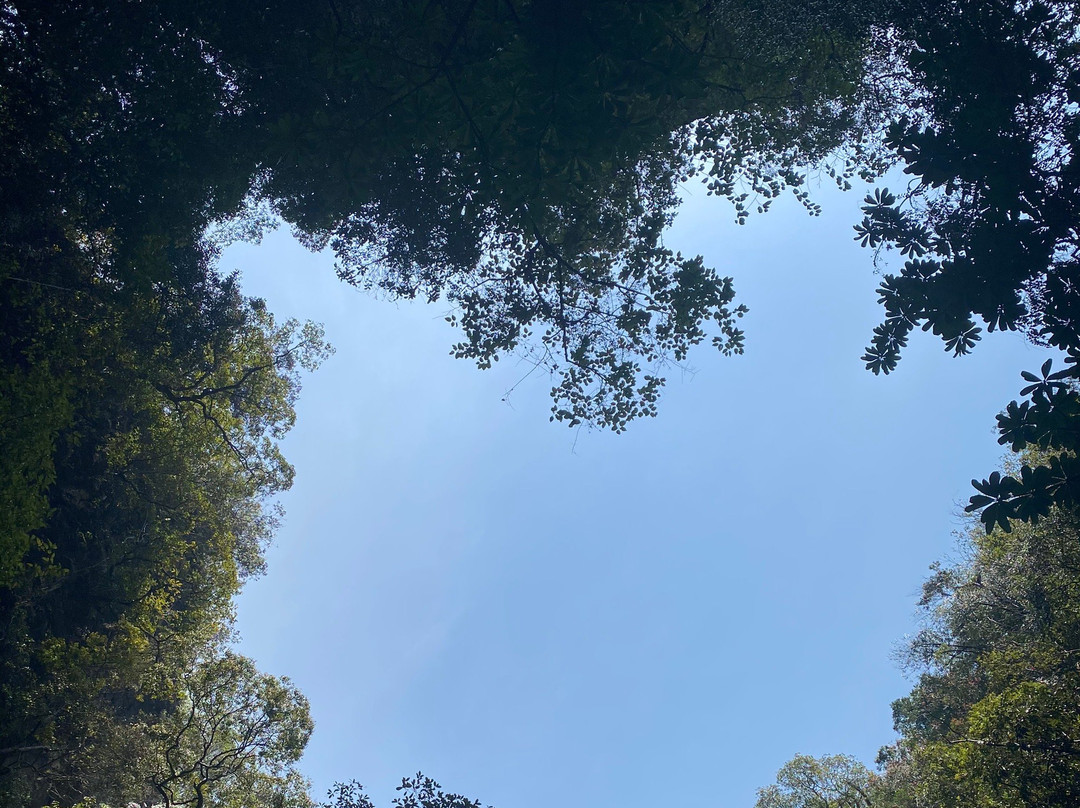 Jp Andaman Tour景点图片