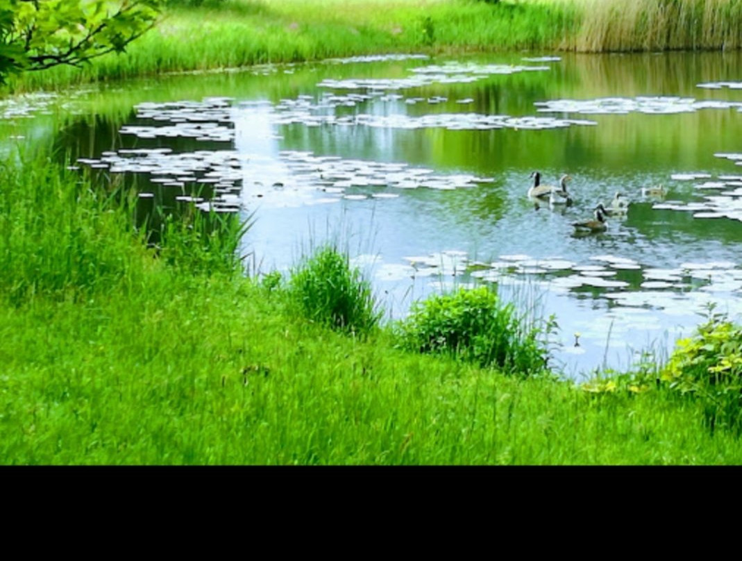 Park Vordenstein-Schoten必去景点