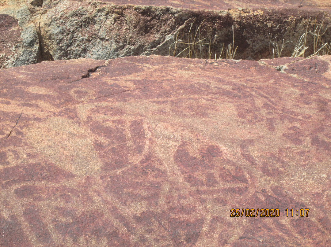 Rock Engravings at Peet Alberts Koppie-Kamanjab必去景点