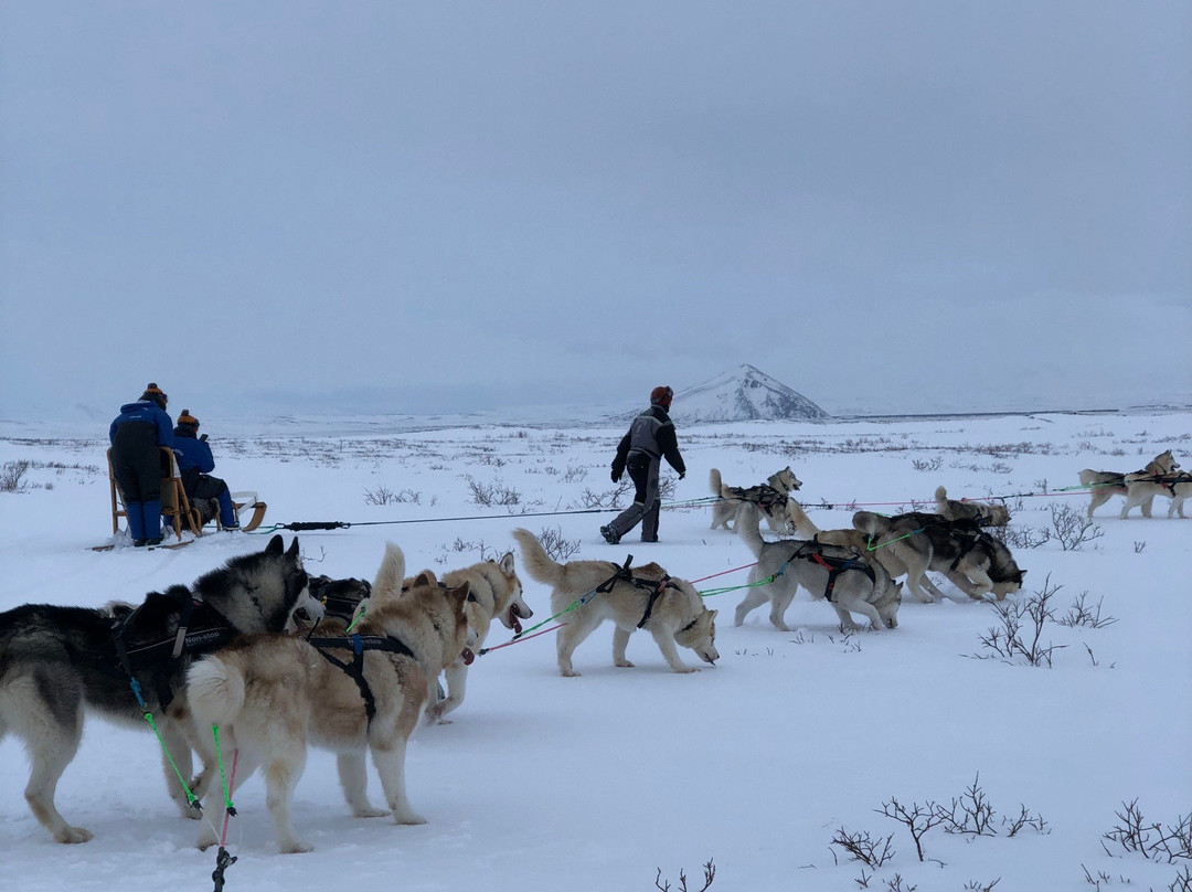 Snow Dogs-米湖必去景点