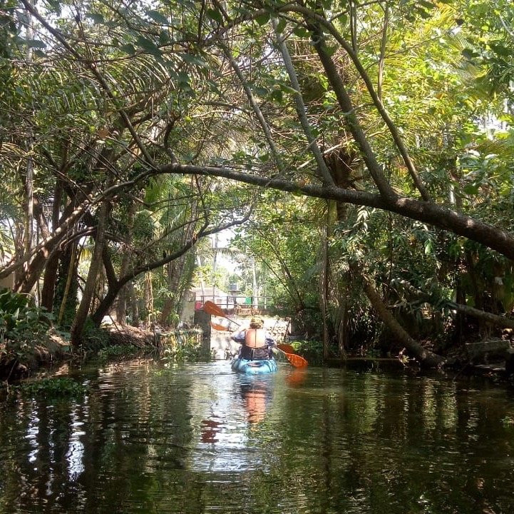 Kerala Kayaking景点图片