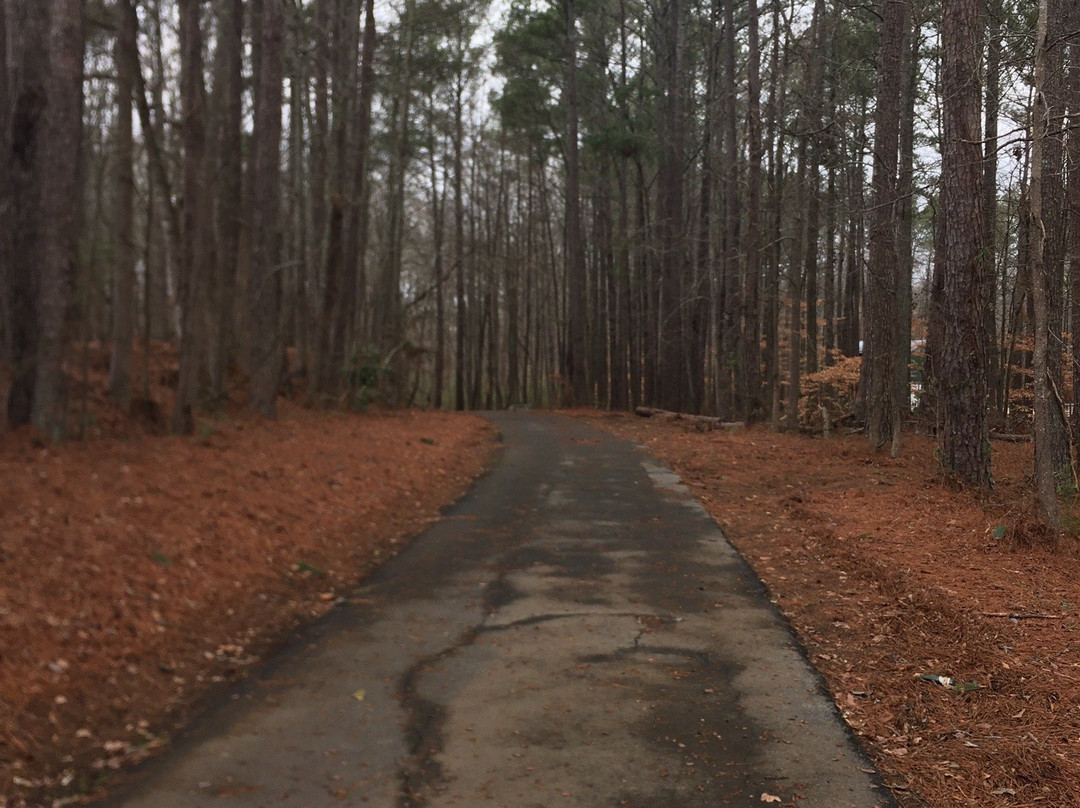 Turner lake-卡温顿必去景点
