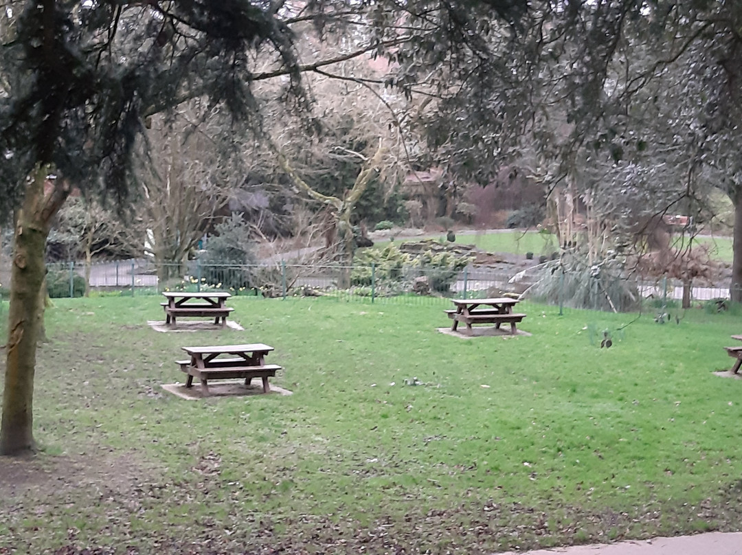 Cwmdonkin Park-斯温西必去景点