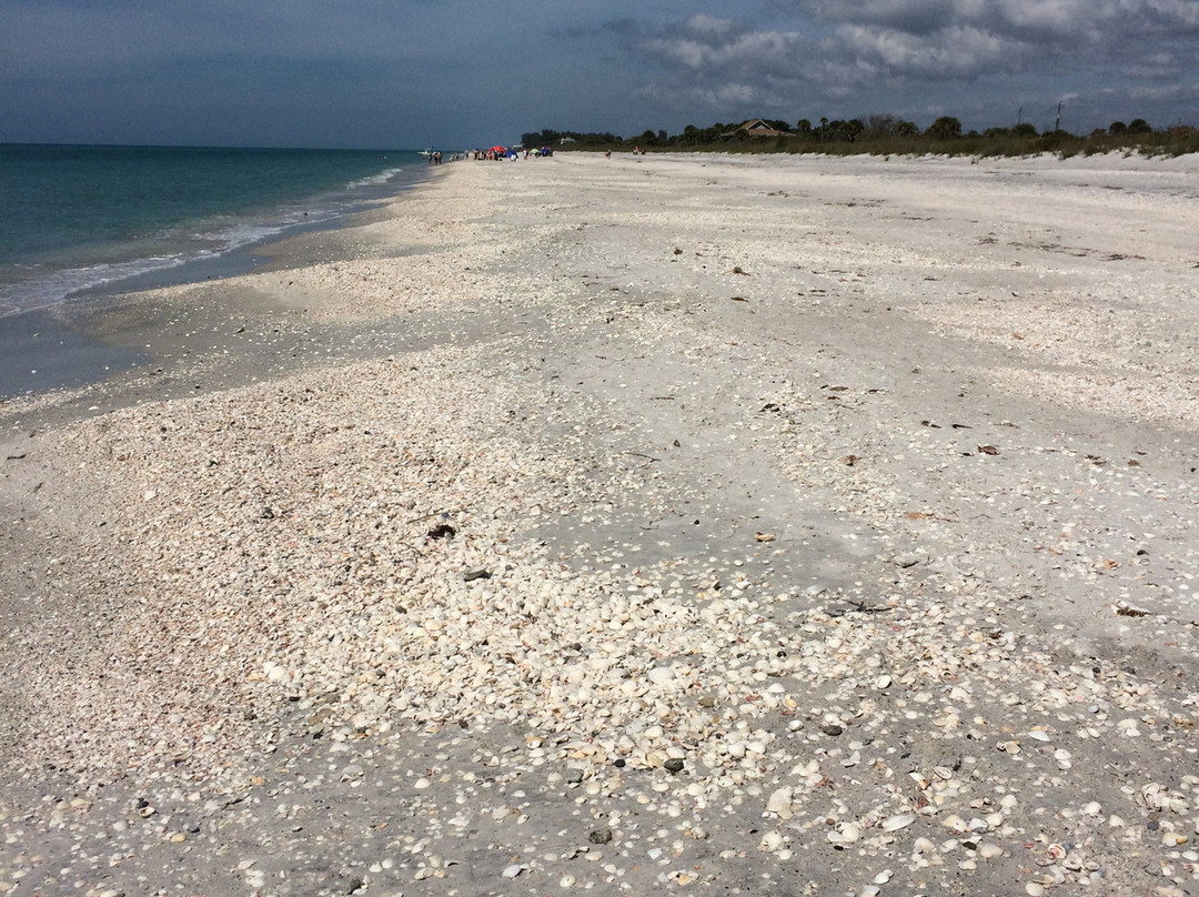 Don Pedro Island State Park-Cape Haze必去景点