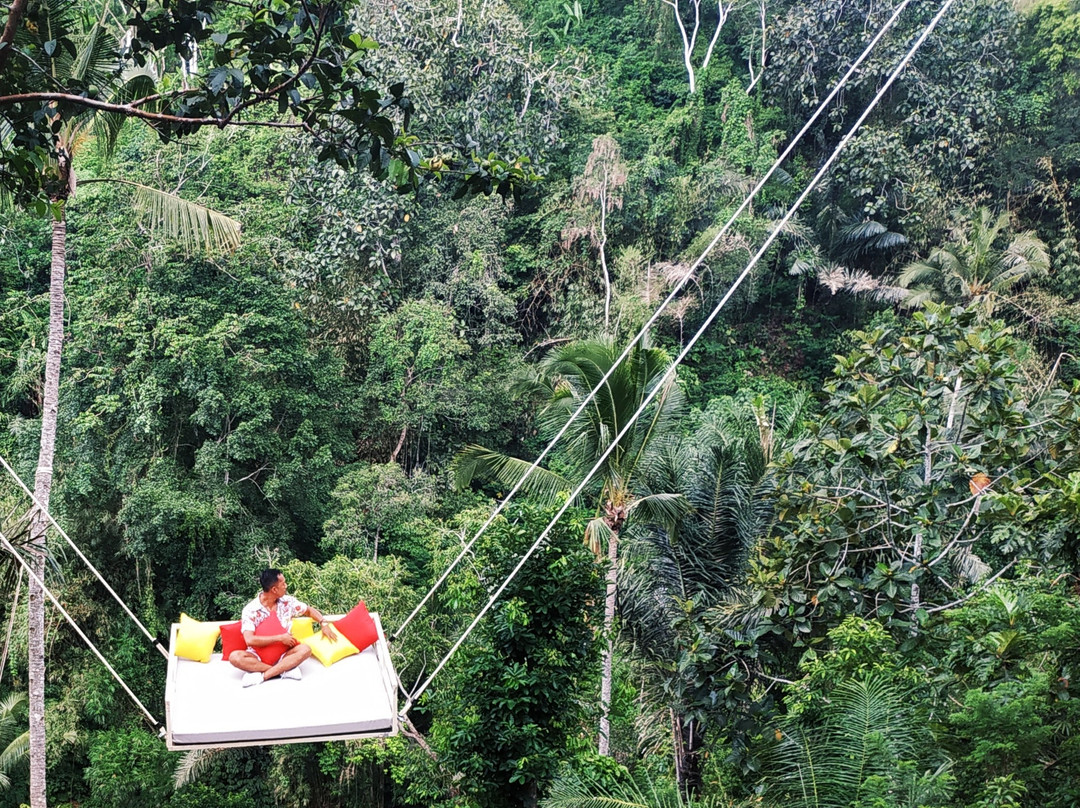 Jungle Swing Bali-佩艳艮必去景点