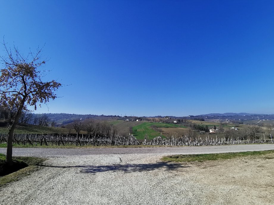 Veatles Group-佩鲁贾必去景点